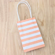 Load image into Gallery viewer, 'Gift Bags' - Choose Your Colour