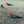 Load image into Gallery viewer, &#39;King Parrot&#39; Dangle Earrings
